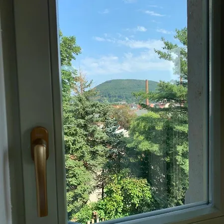 Gruetzner Apartment *